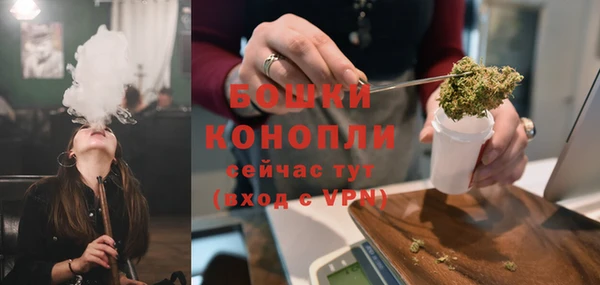 эйфоретик Покачи