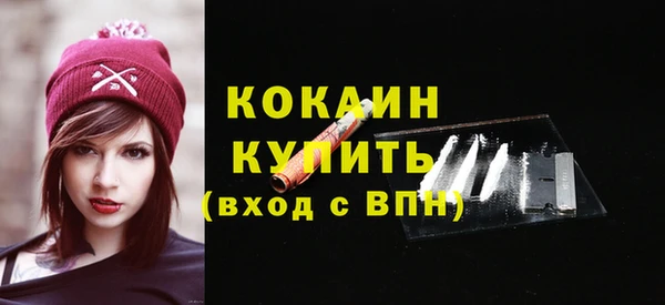 ГАЛЛЮЦИНОГЕННЫЕ ГРИБЫ Кукмор