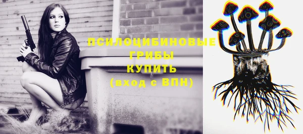 ГАЛЛЮЦИНОГЕННЫЕ ГРИБЫ Кукмор
