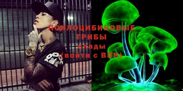 дживик Кулебаки