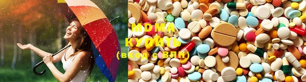 ГАЛЛЮЦИНОГЕННЫЕ ГРИБЫ Кукмор