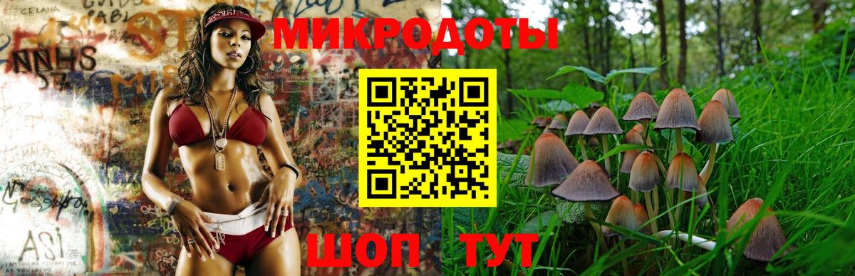 Псилоцибиновые грибы мухоморы Мурино
